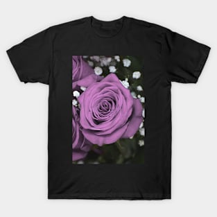 Purple rose. T-Shirt